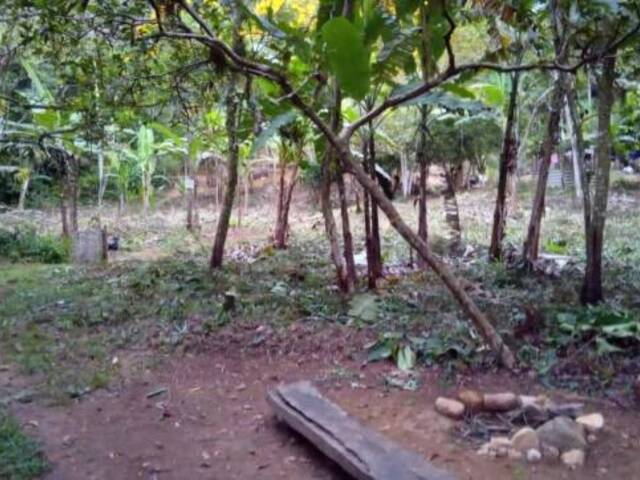 #TRV0029 - Terreno para Venda em Ubatuba - SP - 2